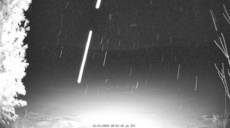 Image from 2025-01-31