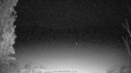 Image from 2025-01-31
