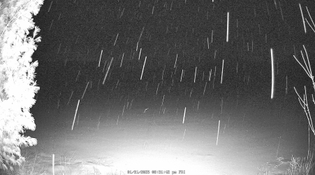Image from 2025-01-31