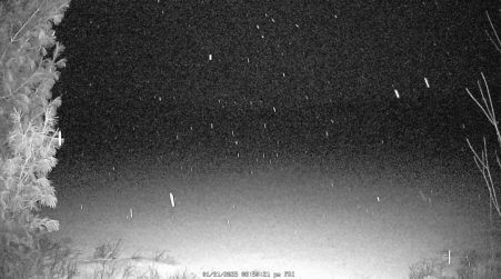 Image from 2025-01-31