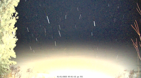 Image from 2025-01-31