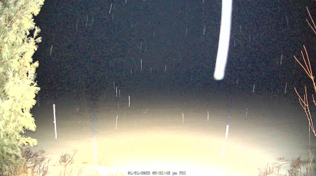 Image from 2025-01-31