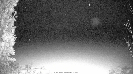 Image from 2025-01-31