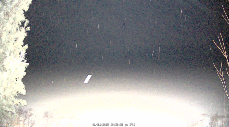Image from 2025-01-31