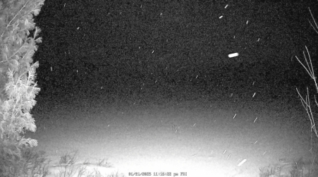Image from 2025-01-31