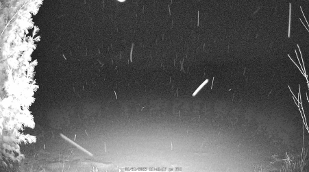 Image from 2025-01-31