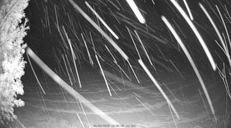 Image from 2025-02-02
