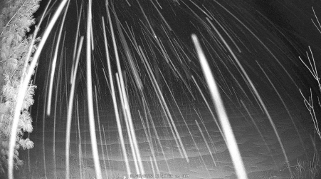 Image from 2025-02-02