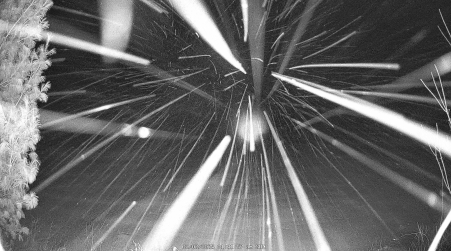 Image from 2025-02-02