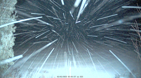 Image from 2025-02-02