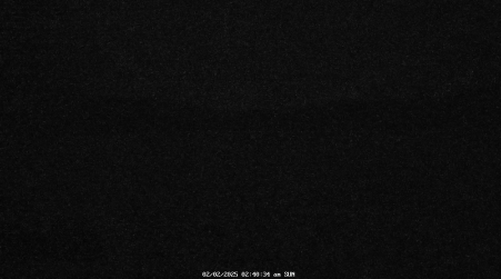 Image from 2025-02-02