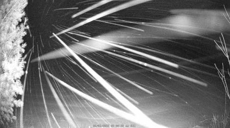 Image from 2025-02-02