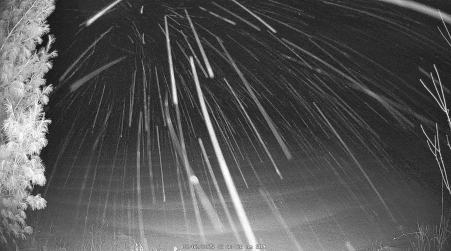 Image from 2025-02-02