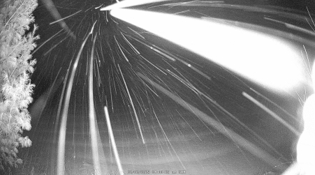 Image from 2025-02-02