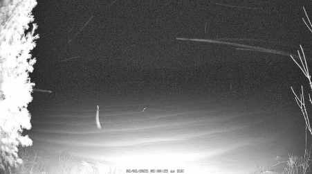 Image from 2025-02-02