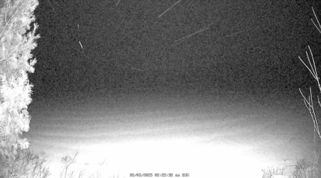 Image from 2025-02-02