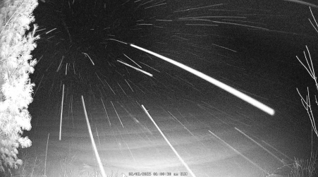 Image from 2025-02-02