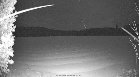 Image from 2025-02-02