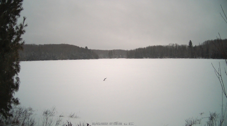 Image from 2025-02-02