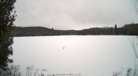 Image from 2025-02-02