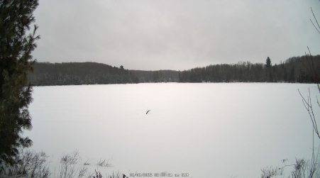 Image from 2025-02-02
