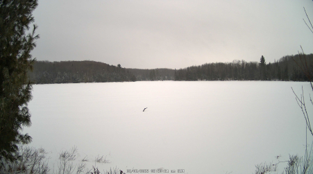 Image from 2025-02-02