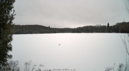 Image from 2025-02-02