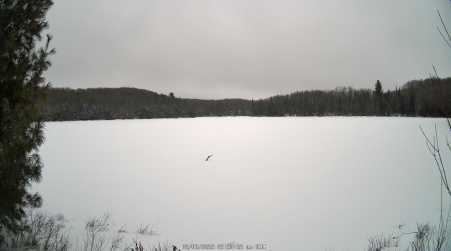 Image from 2025-02-02