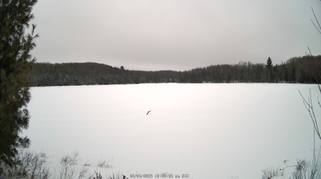 Image from 2025-02-02