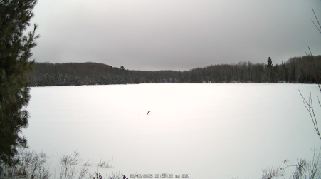 Image from 2025-02-02