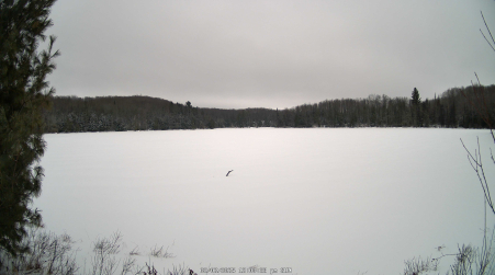 Image from 2025-02-02