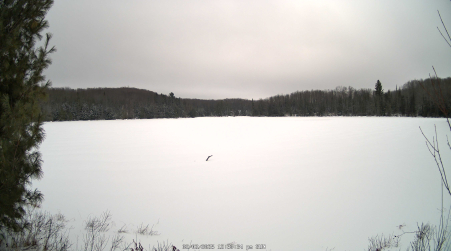 Image from 2025-02-02