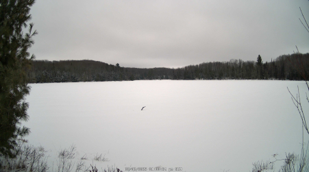 Image from 2025-02-02