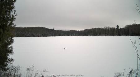 Image from 2025-02-02