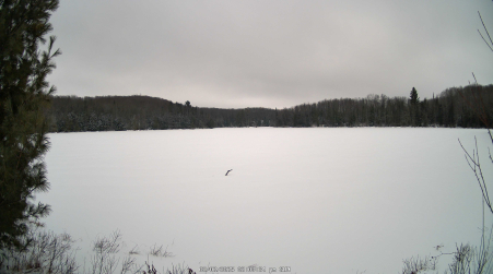 Image from 2025-02-02