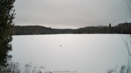 Image from 2025-02-02