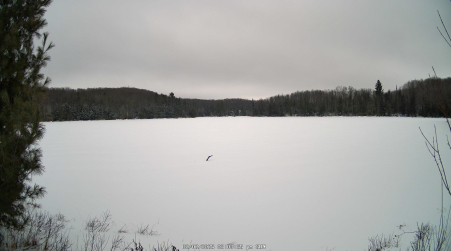Image from 2025-02-02