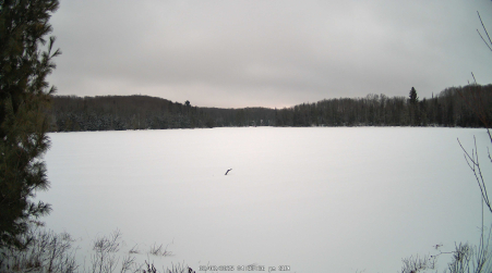Image from 2025-02-02