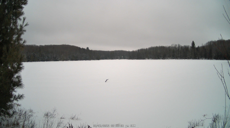Image from 2025-02-02