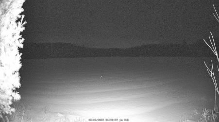 Image from 2025-02-02