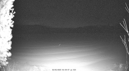 Image from 2025-02-02