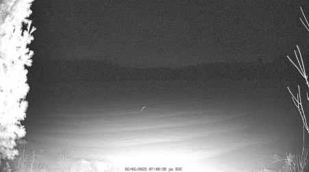 Image from 2025-02-02