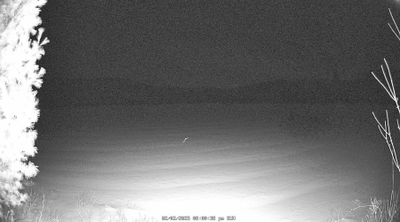 Image from 2025-02-02