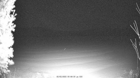 Image from 2025-02-02