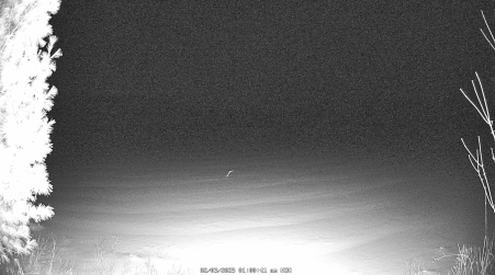 Image from 2025-02-03