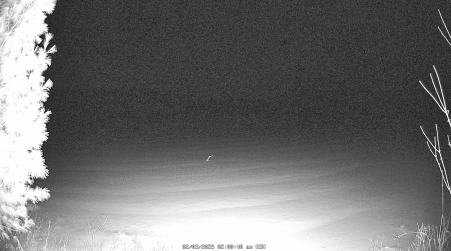 Image from 2025-02-03