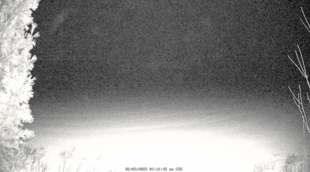 Image from 2025-02-03