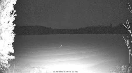 Image from 2025-02-03