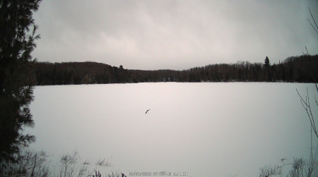 Image from 2025-02-03