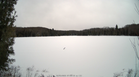 Image from 2025-02-03